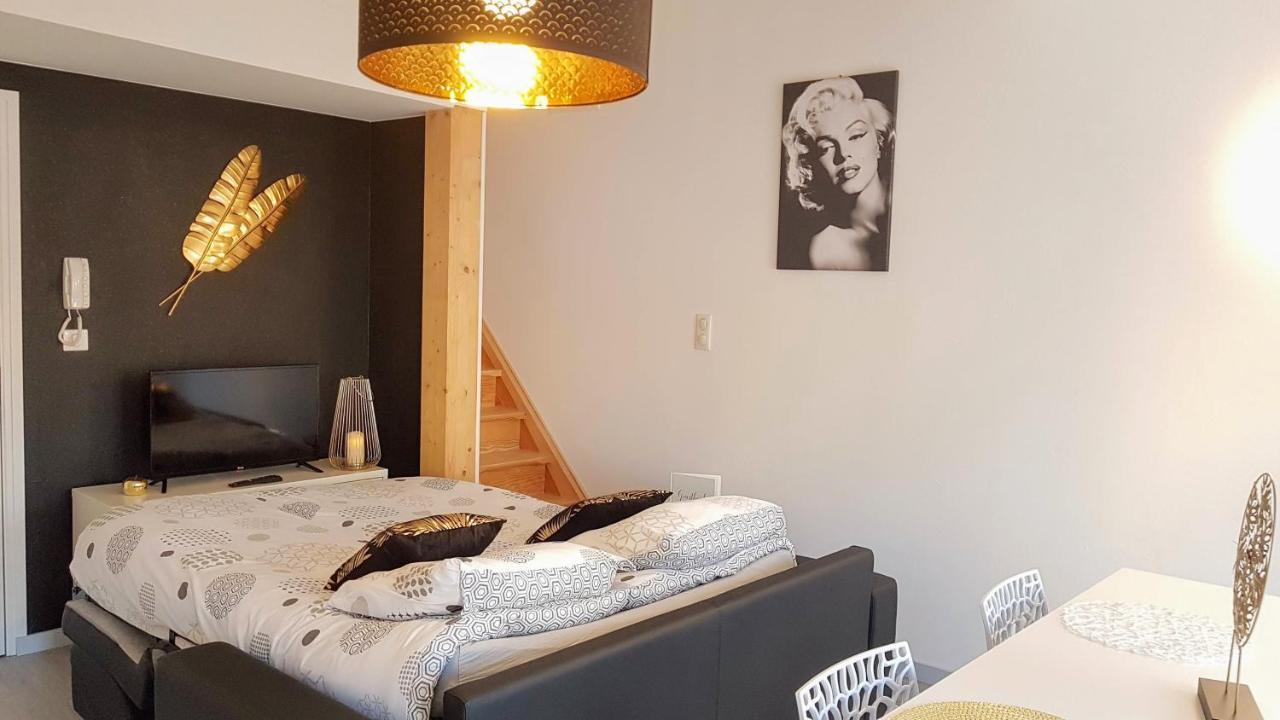 Les Nuits D'Anis - Appartements Hypercentre Le Puy-en-Velay Экстерьер фото