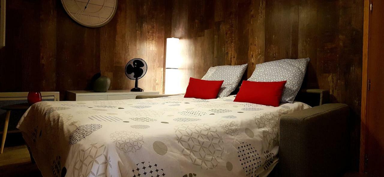 Les Nuits D'Anis - Appartements Hypercentre Le Puy-en-Velay Экстерьер фото